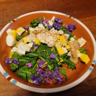 Steamed brassica buds, violet and redbud flowers, boiled egg