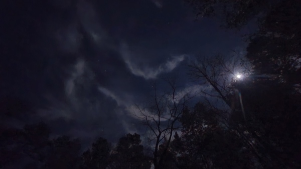 Narrow bands of clouds are squggles against the night sky